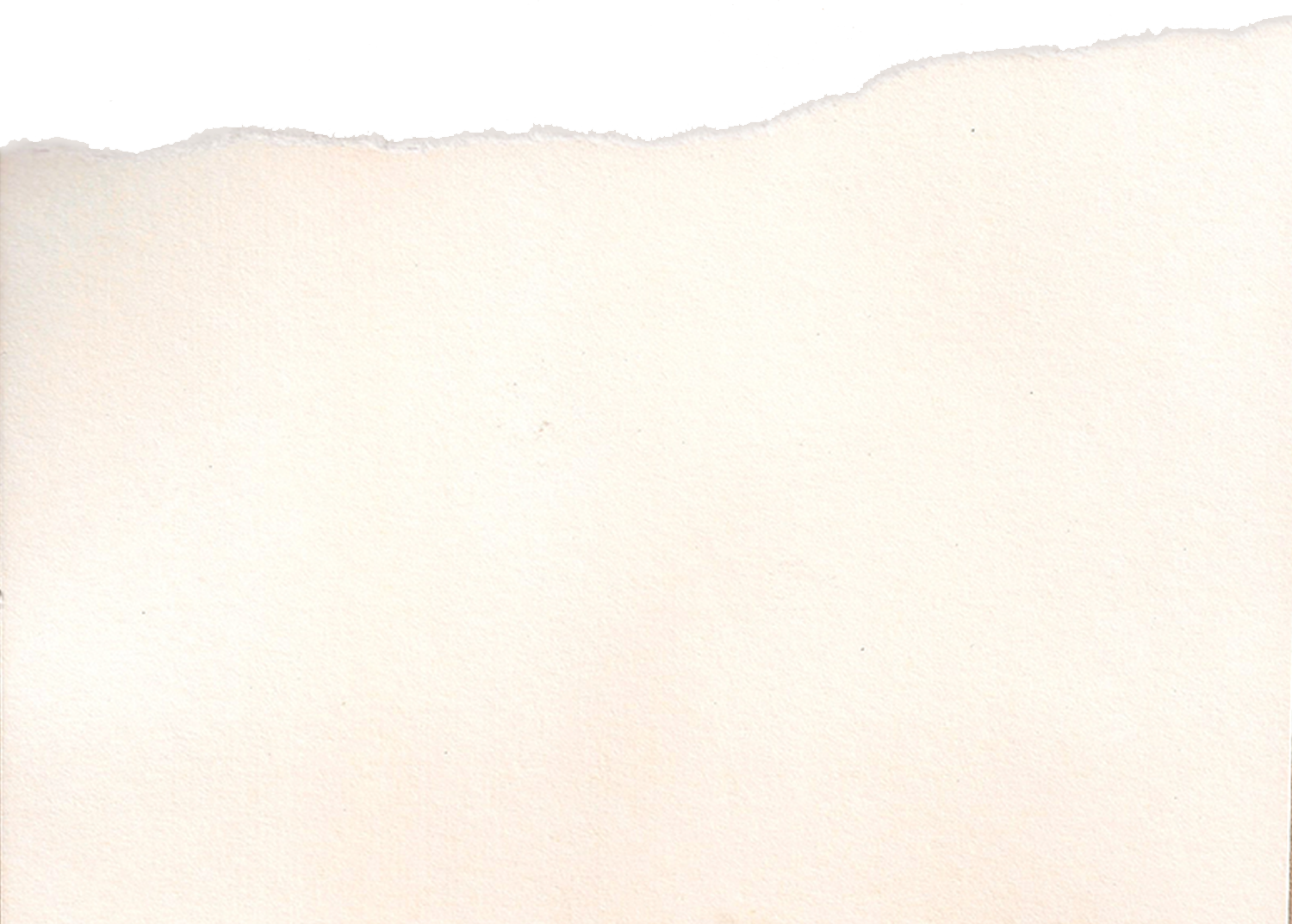 White Card Stock Paper with One Ripped Edge